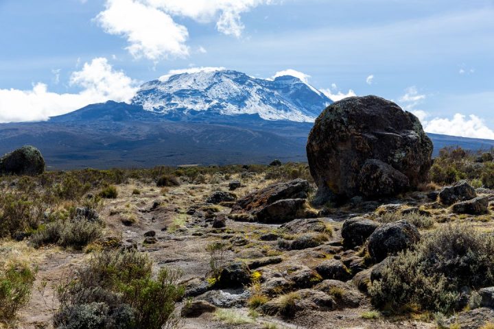 7 Days Rongai Route