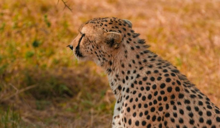 Arusha National Park (2)