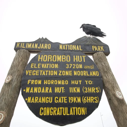 Horombo Hut