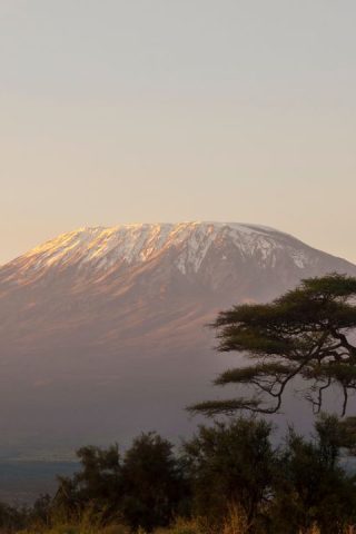 Kilimanjaro Articles
