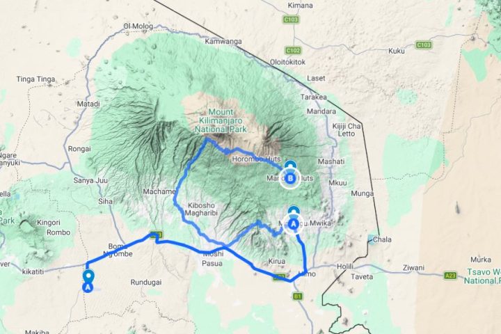Kilimanjaro Day Hike