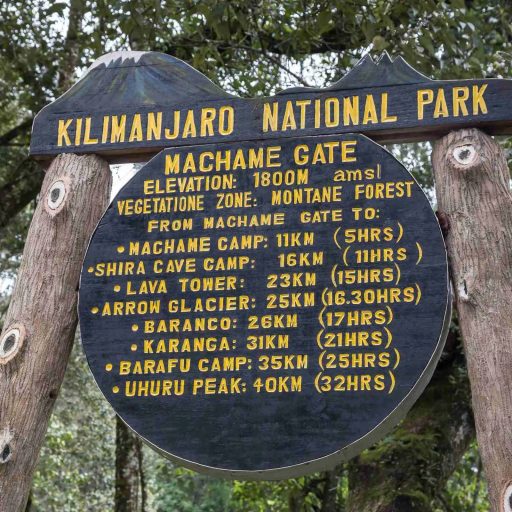 Machame Gte