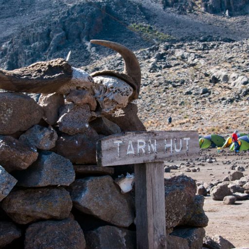 Mawenzi Tarn Camp