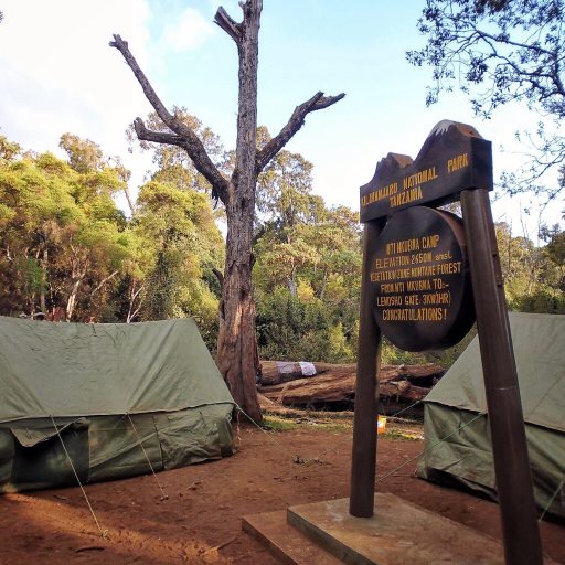 Mti Mkubwa camp