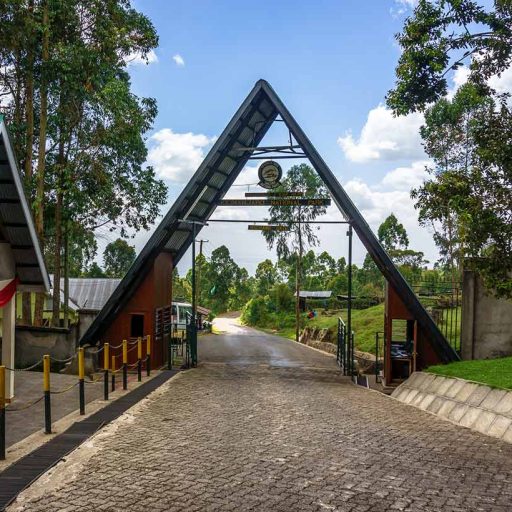Mweka Gate