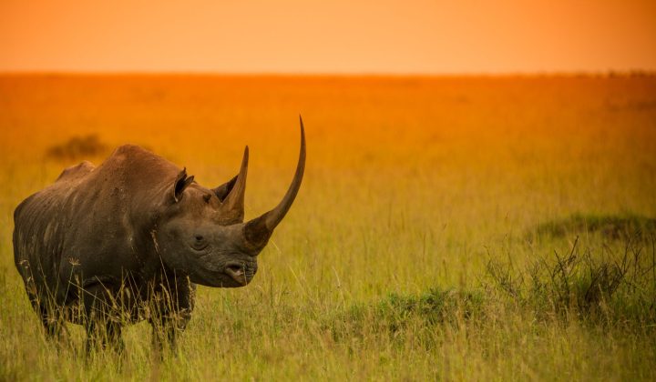 Ngorongoro Crater (1)