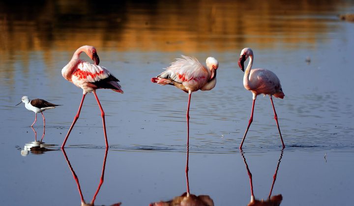 Ngorongoro Crater 1