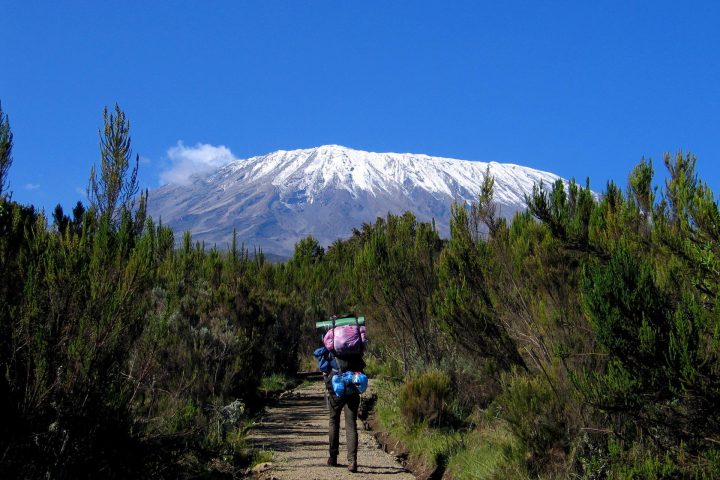 Rongai Kilimanjaro