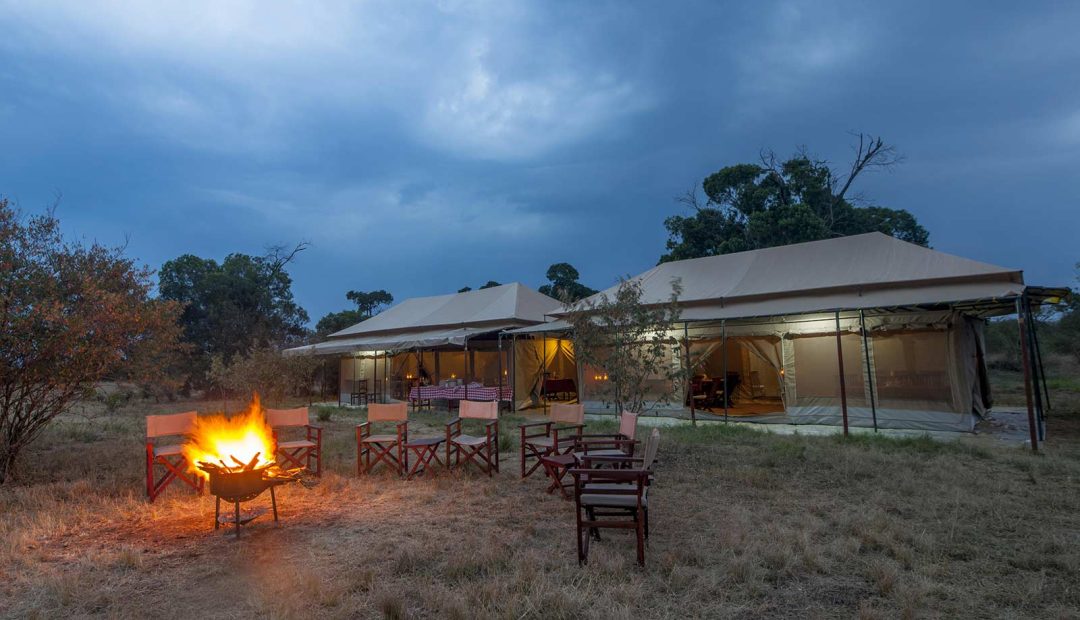 Serengeti Acacia Camp 1
