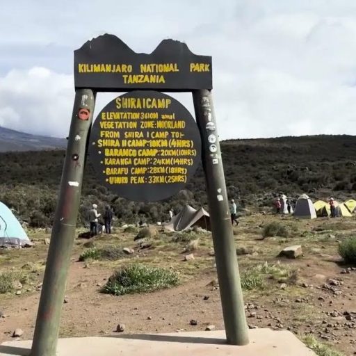 Shira 1 camp