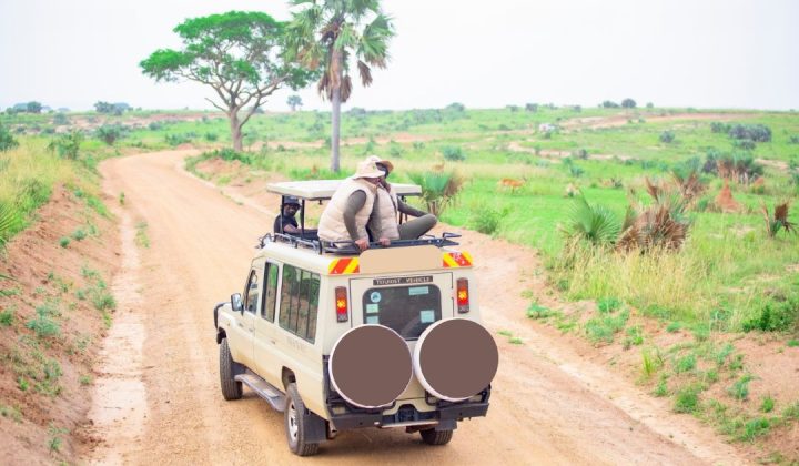 Tanzania Honeymoon Safaris