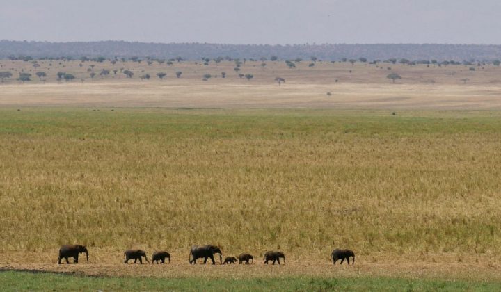 Tarangire National Park