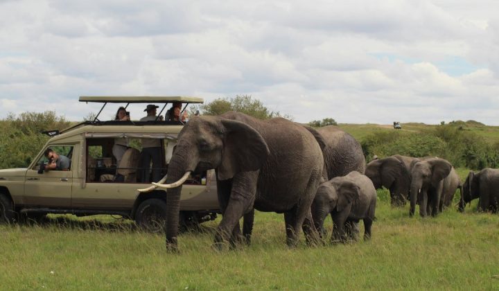 Why Choose Frontline Tanzania Safari