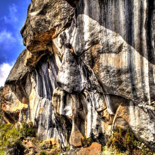 Zebra Rock Kilimanjaro