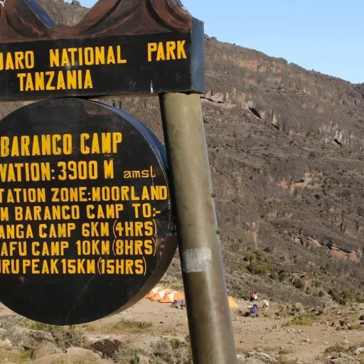 barranco camp