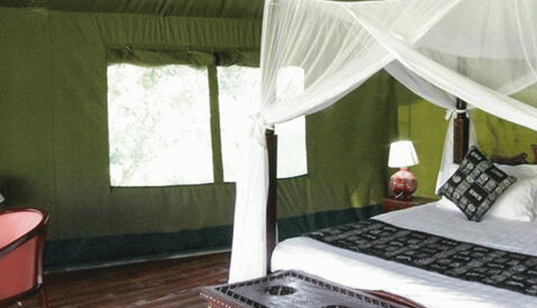osero-camp-masai-mara-1200x900