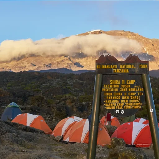 shira II Camp
