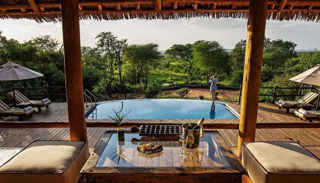 tarangire treetops 1