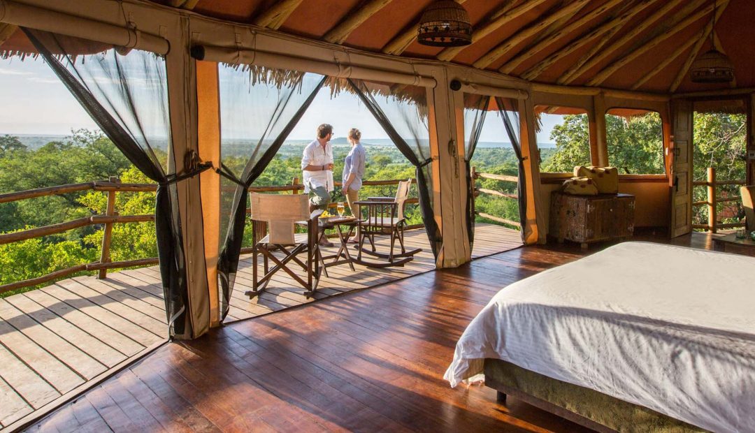 tarangire treetops