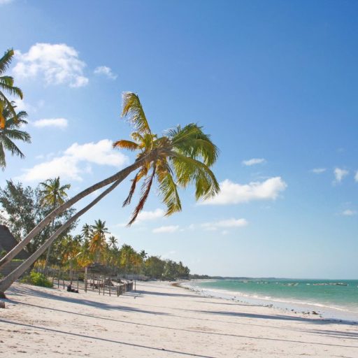 zanzibar